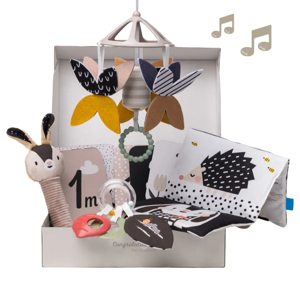 Taf toys black and white newborn kit