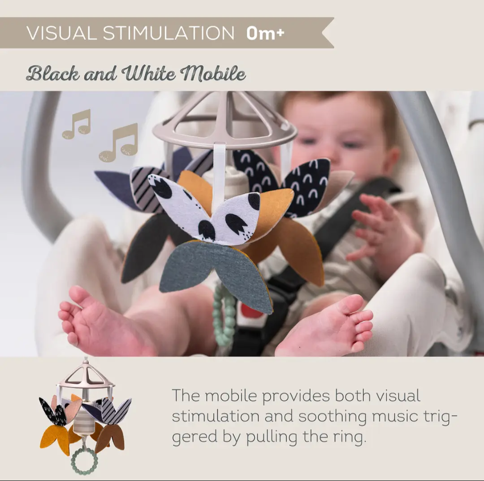 Taf toys black and white newborn kit