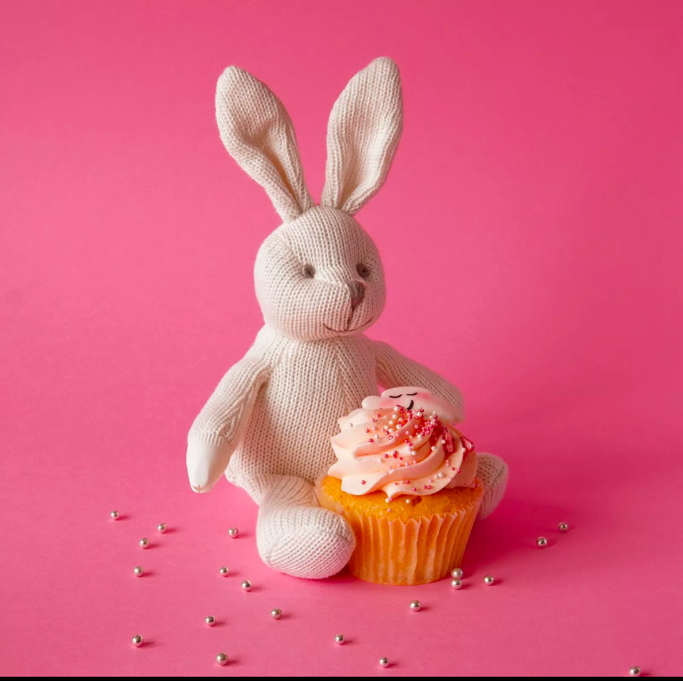 Organic cotton bunny teddy rattle