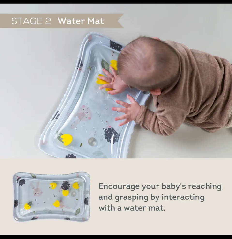 Taf toys tummy time kit